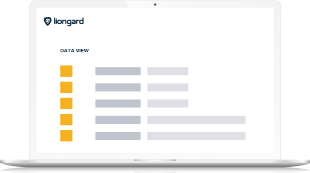 Abstract image of Liongard's automated documentation system view user interface on a laptop screen.