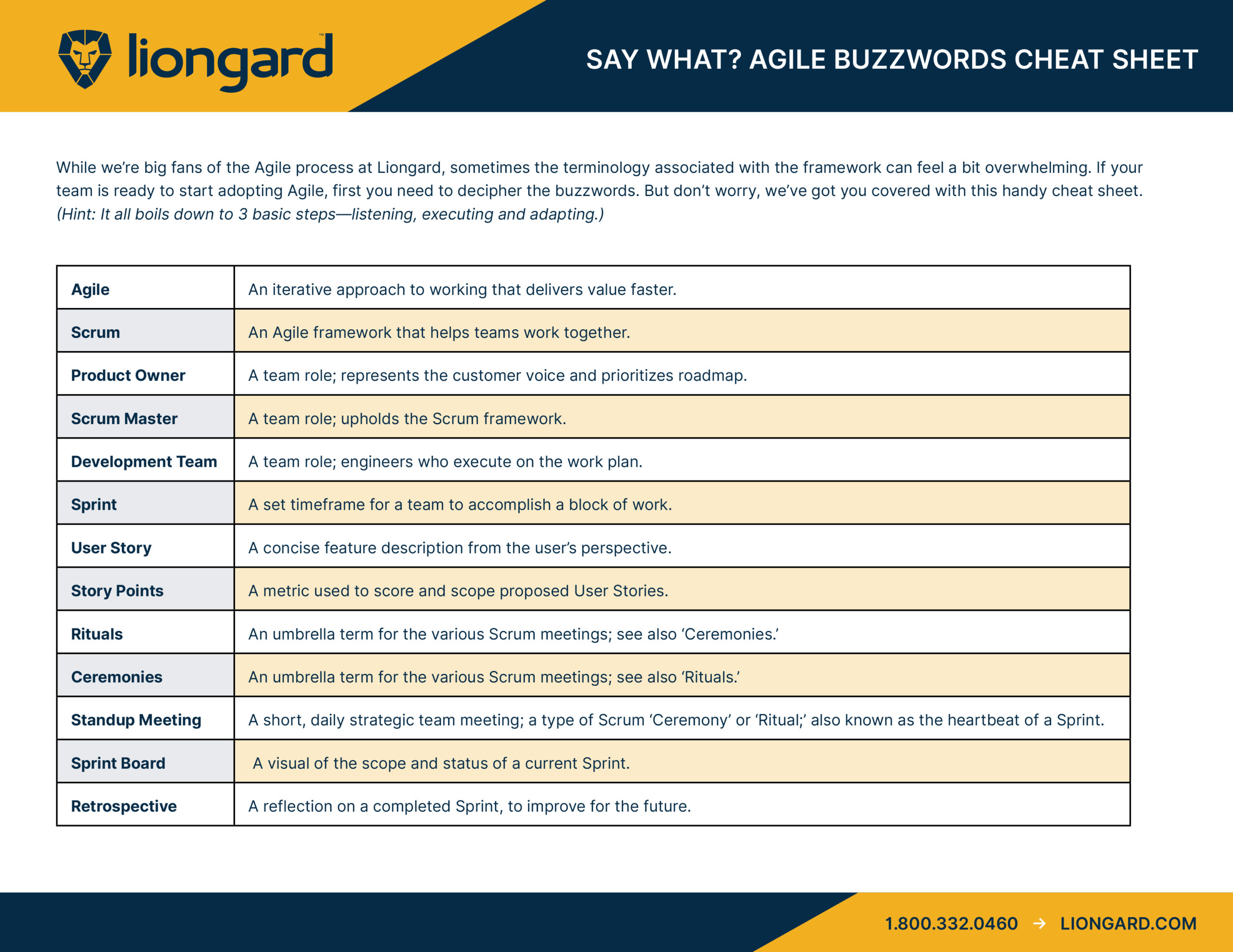 Agile Buzzwords