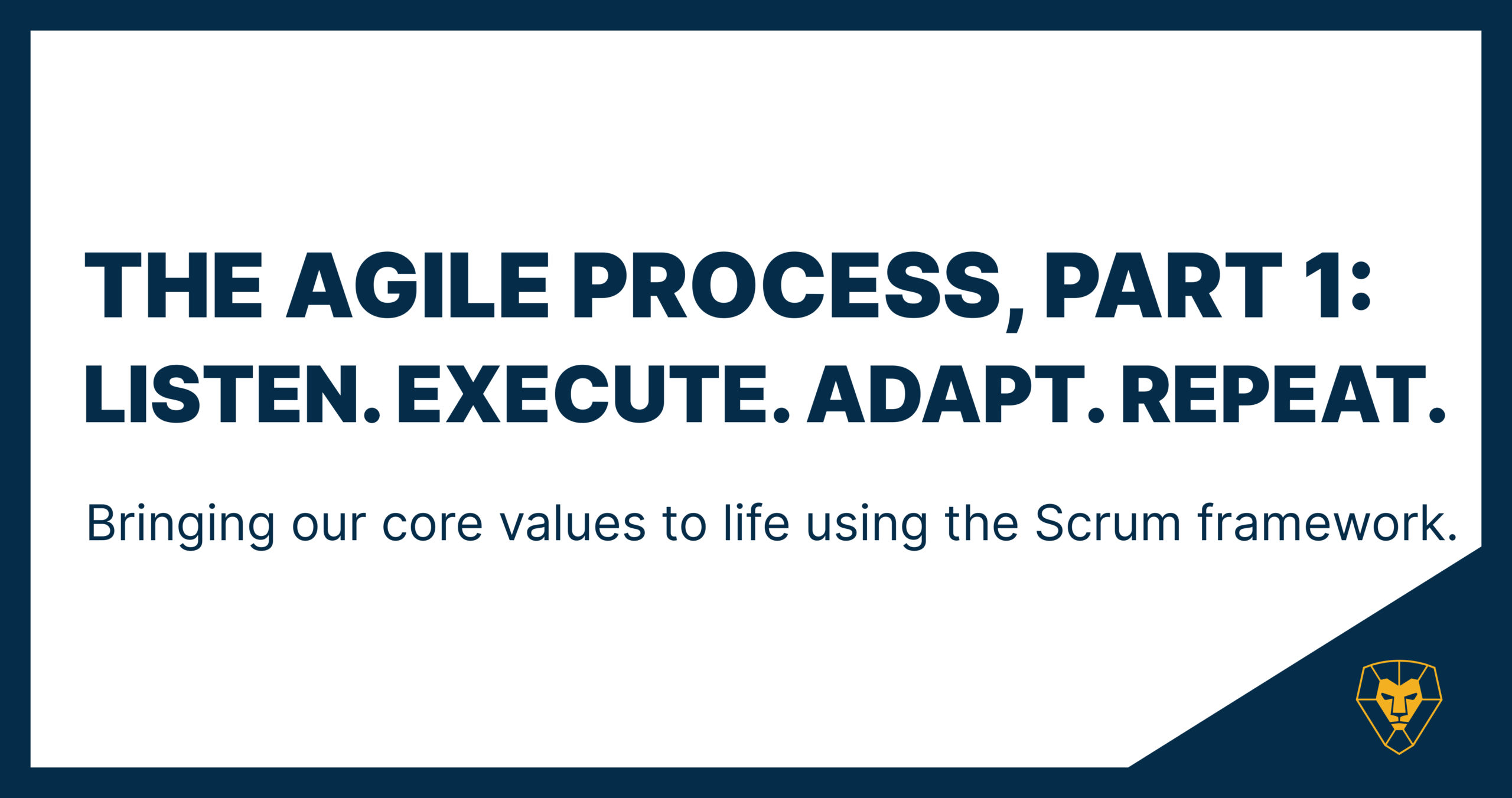 The Agile Process, Part 1: Listen Execute Adapt Repeat
