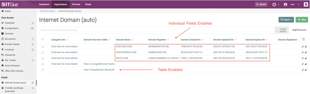 IT Glue Flexible Assets in List View