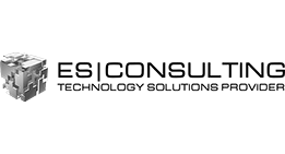 Logo of ES Consulting, a managed IT services provider MSP and Liongard partner