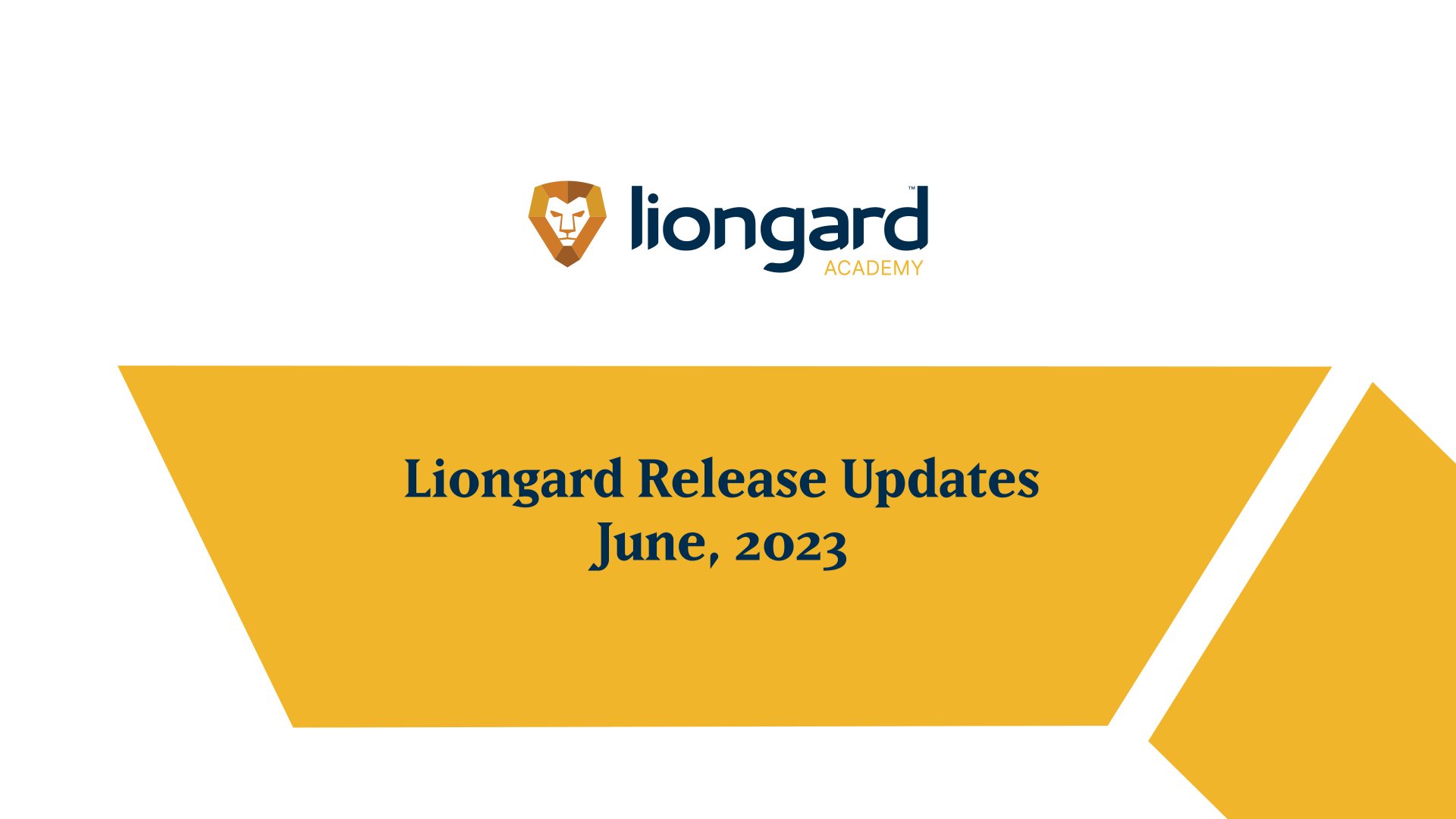 Liongard-Release-Updates – Juni 2023